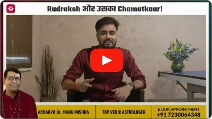 Feedback Video