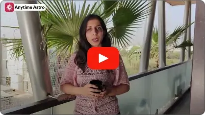 Feedback Video
